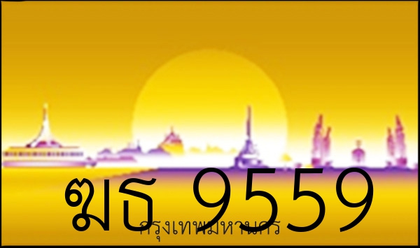 ฆธ 9559